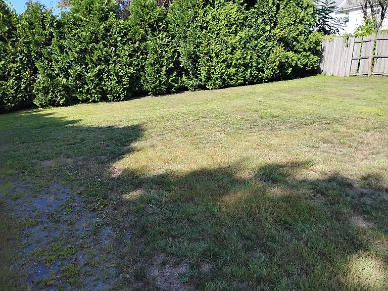 9 Sherman St #2 — Photo 14