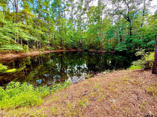 County Road 4740, Kennard, TX 75847