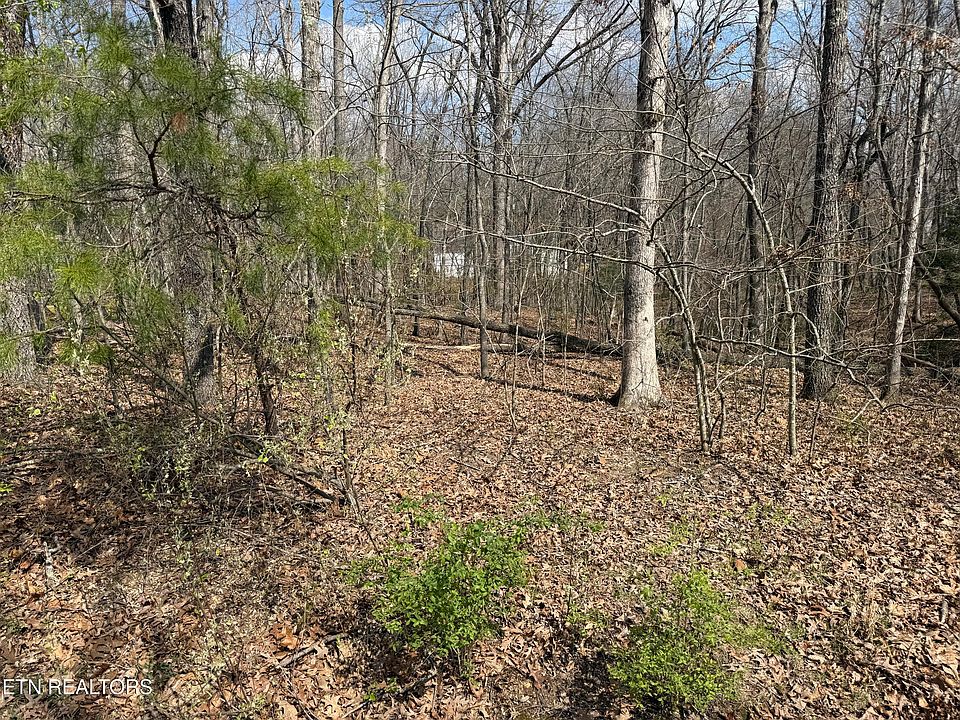 2nd image of 144 Delbridge Ln