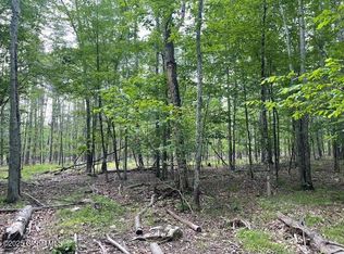 145 Frank Hitchcock Rd, Cairo, NY 12413