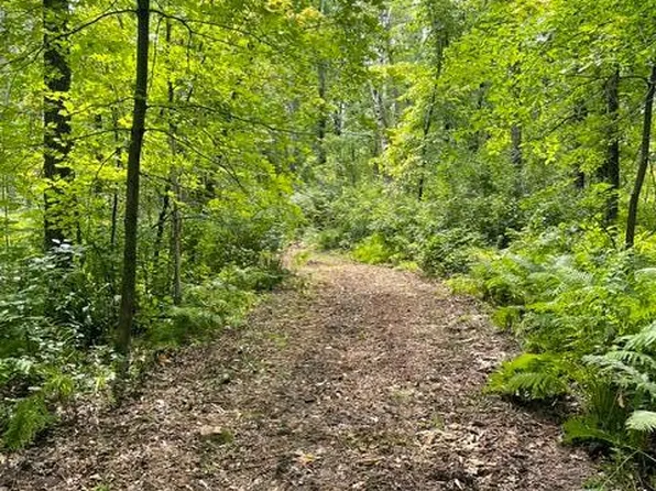 Lacy Ln SW, Pequot Lakes, MN 56472