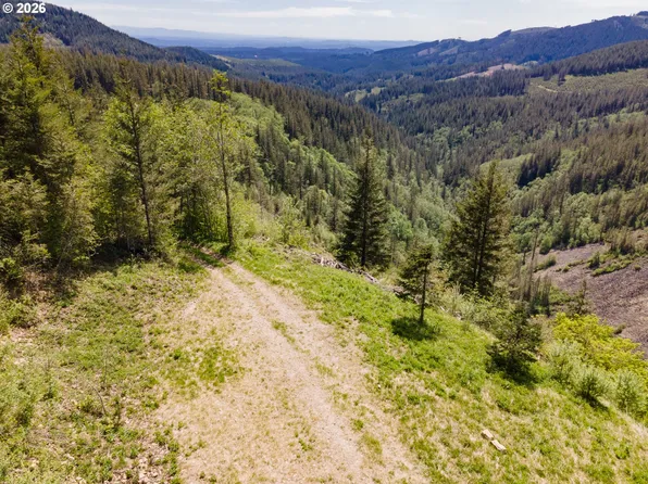 Snag Mountain Rd, Washougal, WA 98671