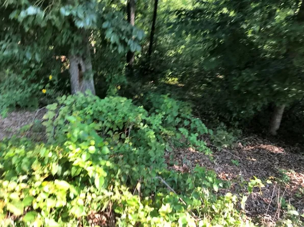 16 Bingley Ln, Bella Vista, AR 72714