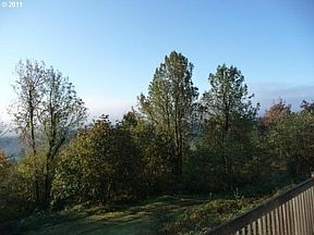 5th image of Washougal