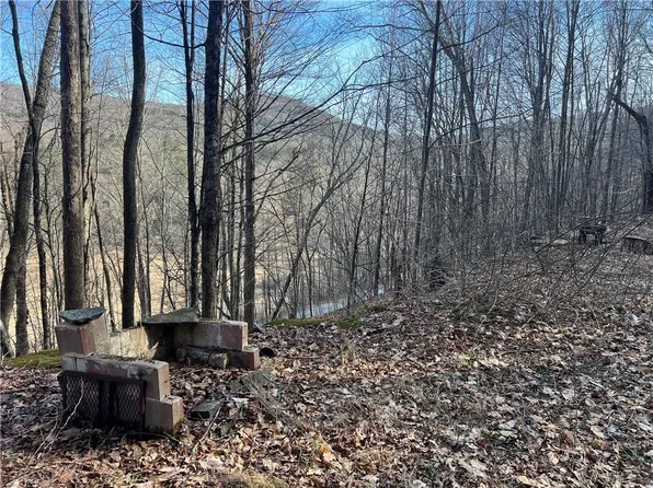 25 Ragin Road, Roscoe, NY 12776