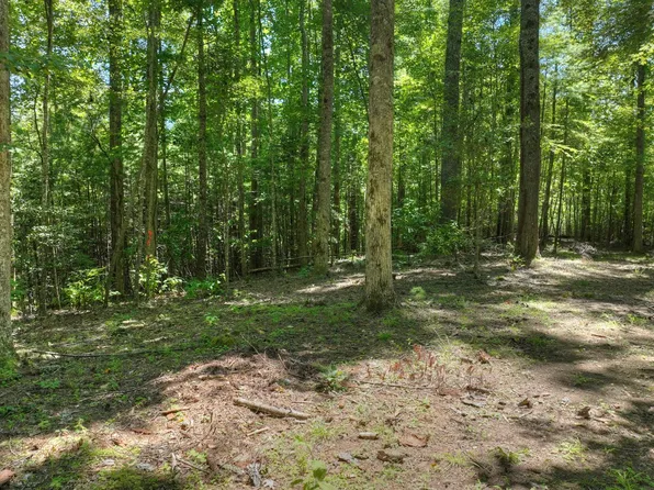 27 Holly Cir, Suches, GA 30572