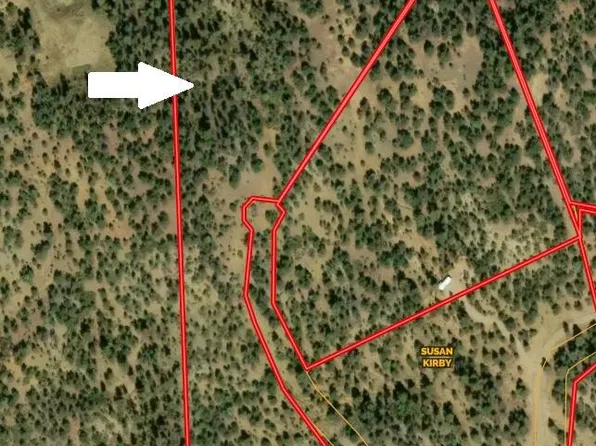 Pine Needles Rd, Trinidad, CO 81082