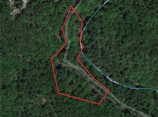 110 Mill Run Rd, Mill Spring, NC 28756