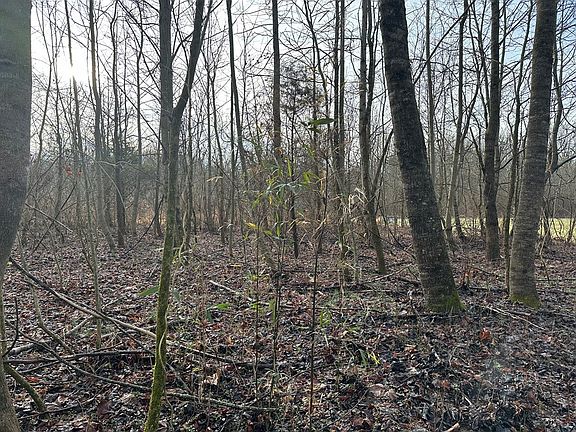 5th image of 7 Holcomb Lndg