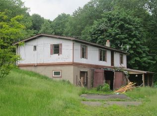 359 N Open Brook Rd, Smethport, PA 16749