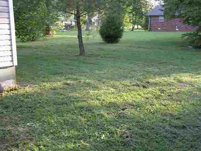 2nd image of 41 Linda Ln