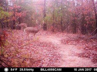 5595 Fm 906 E, Powderly, TX 75473