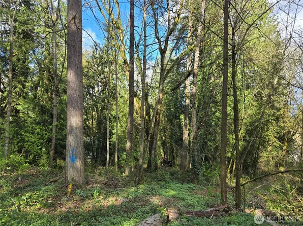 54 xx S 344th Street, Auburn, WA 98001