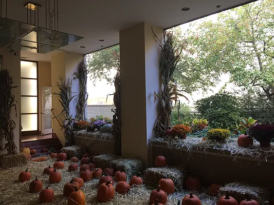 Rented by Ossa Properties | media 27