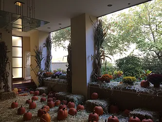 Rented by Ossa Properties