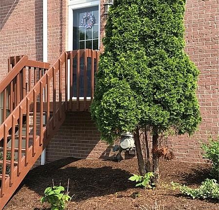 Nicely landscaped entry