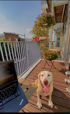 Rented by Owner | media 9