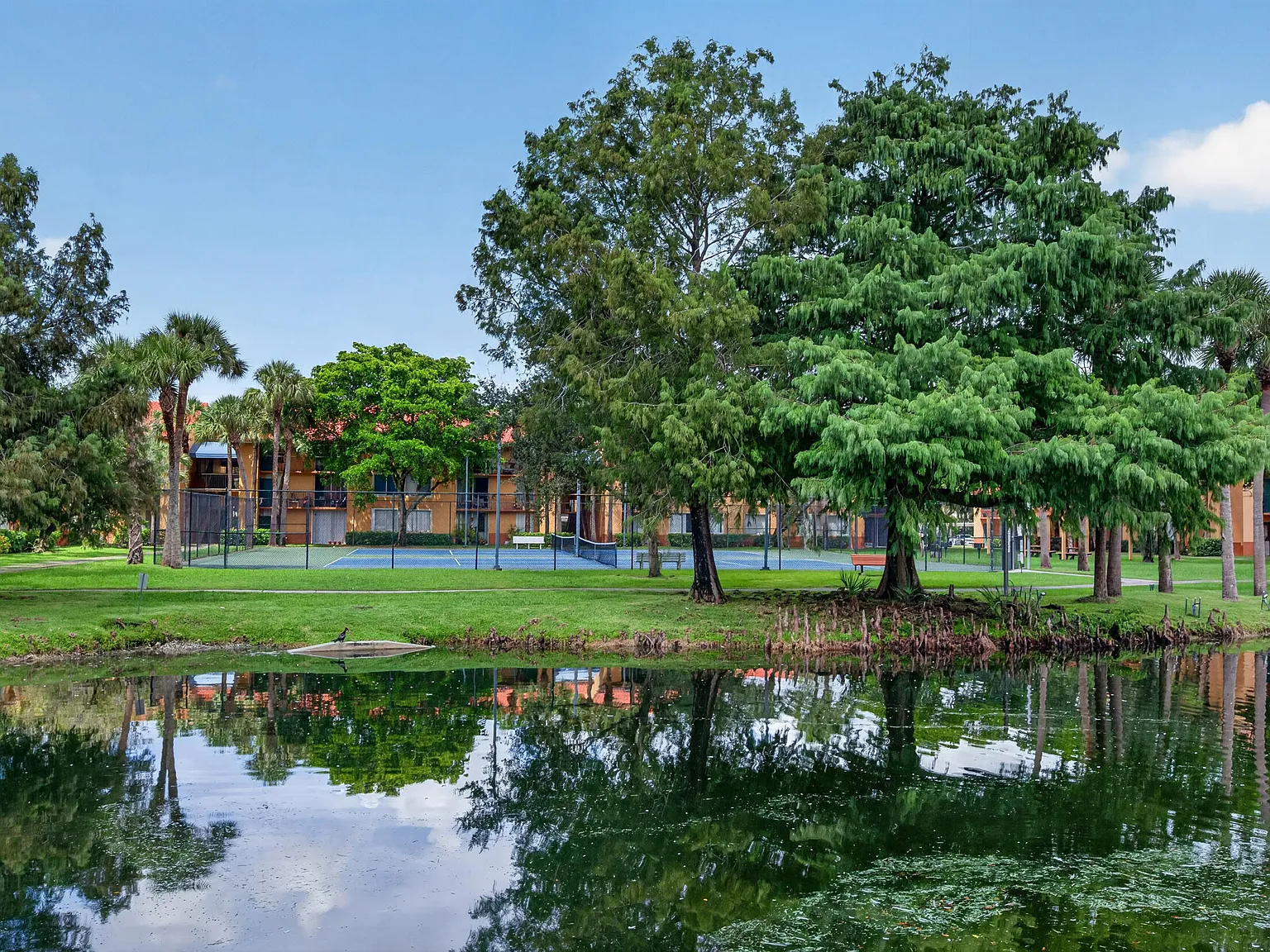 1 bed, 1.0 bath, 734 sqft, $1,795 — Photo 4