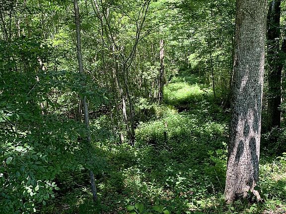 5th image of 41 Riverwood Drive LOT 41