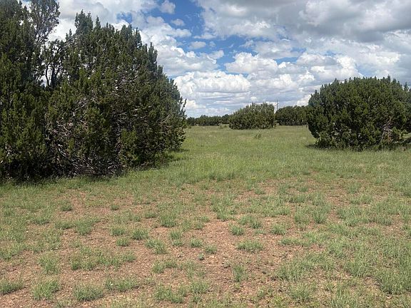 4th image of 147 County Road 3149
