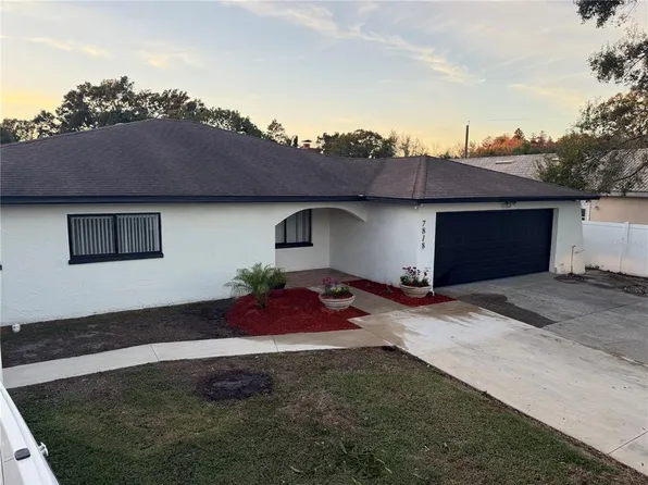 7818 N Cameron Ave, Tampa, FL 33614
