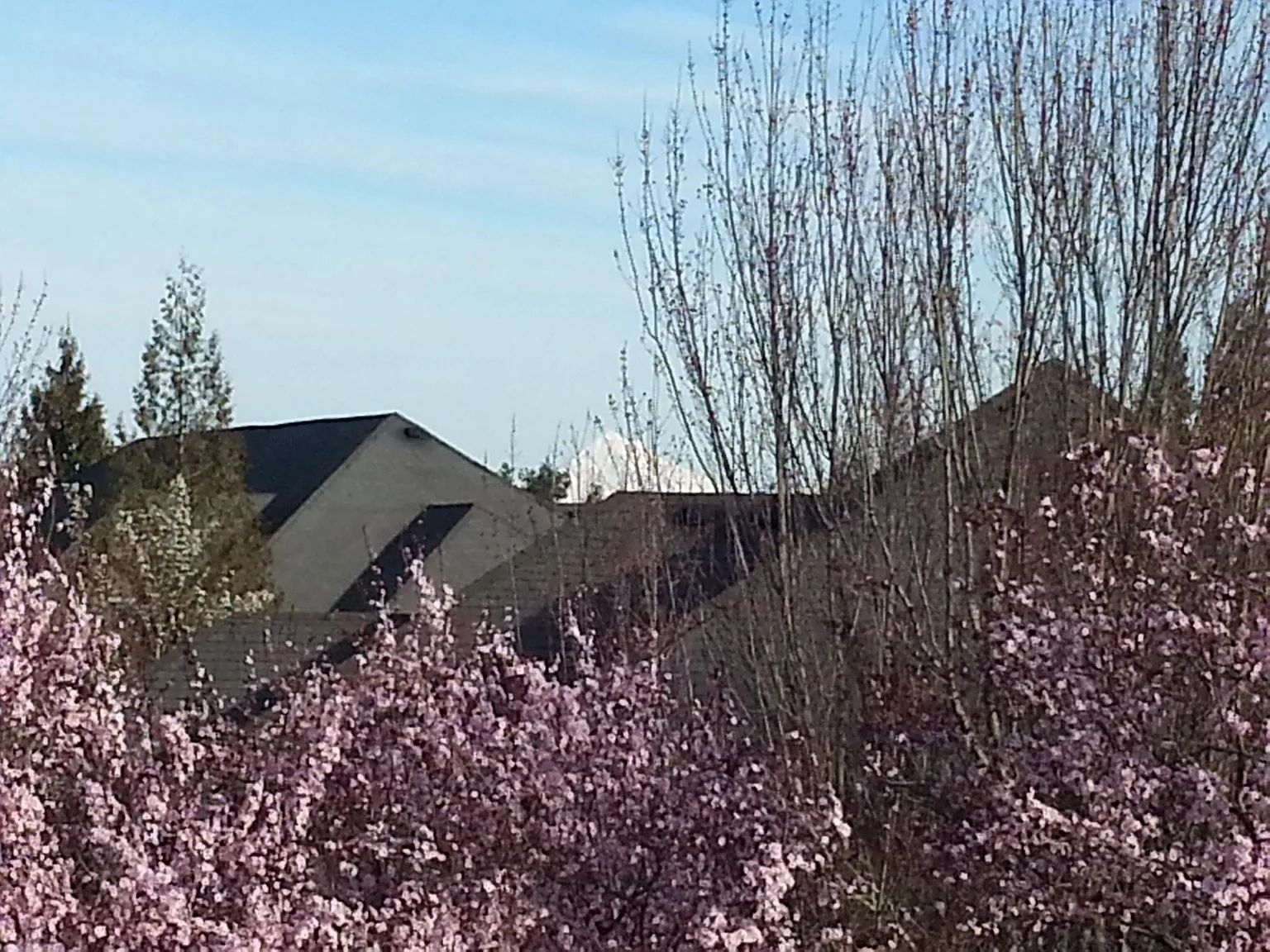 774 SE Fairwinds Loop — Photo 2