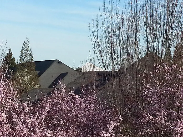 774 SE Fairwinds Loop #774 — Photo 2