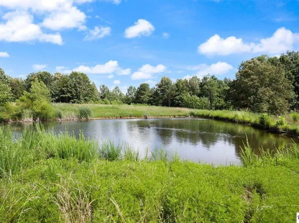 3324 Mount Zion Church Rd, Magnolia, KY 42757