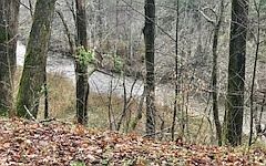 2nd image of Morganton Hwy