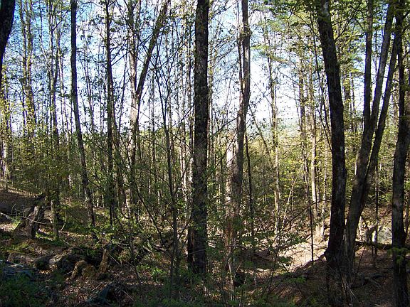 5th image of 324 Sunrise Road
