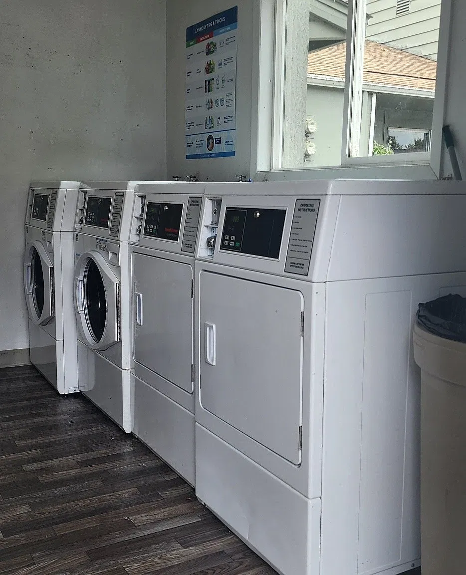 1 bed, 550 sqft, $950 — Photo 4
