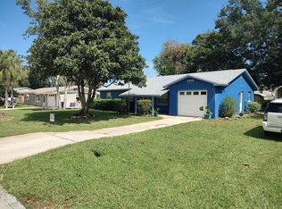 1915 Umbrella Tree Dr, Edgewater, FL 32141