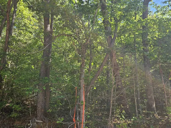 LOT 2 County Road 60, Gaylesville, AL 35973