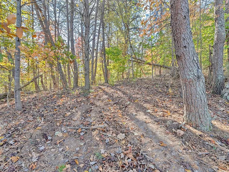 1180 Longfield Rd — Photo 37