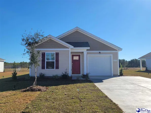 157 Country Grove Way, Galivants Ferry, SC 29544