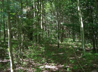 Union Hill Rd, Hinsdale, NY 14743