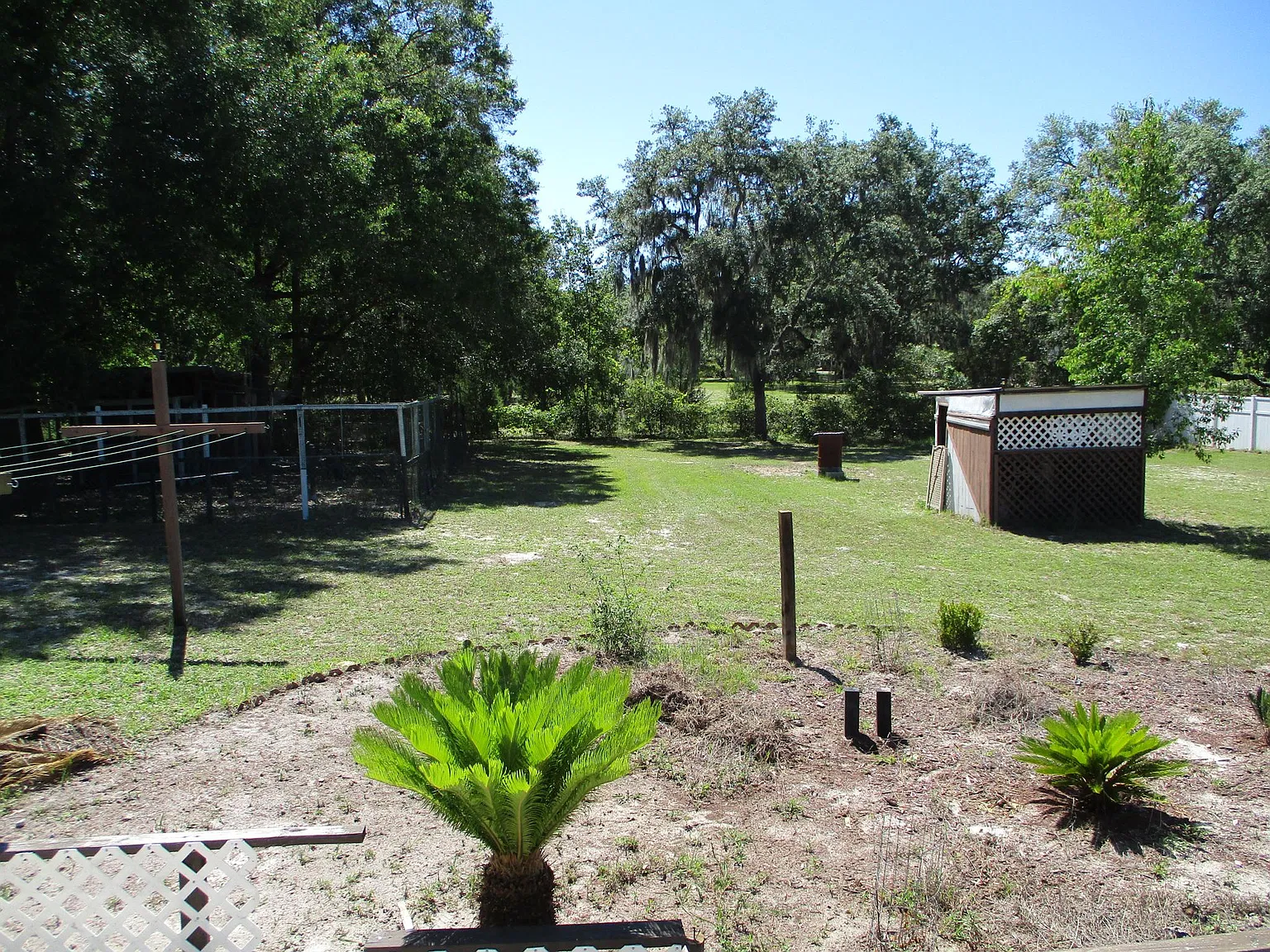 3 bed, 1400 sqft, $1,400 — Photo 4