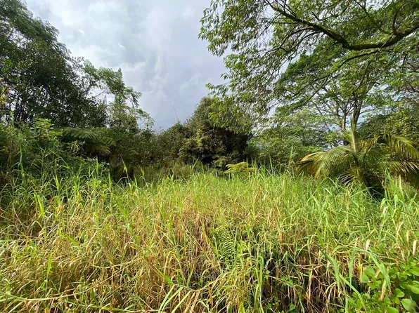 18-8035 KULANI RD, Mountain View, HI 96771