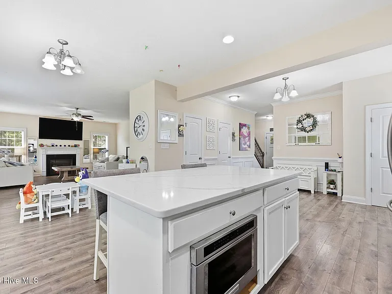 317 Little Egret Ln — Photo 23