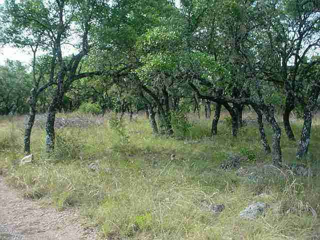 1st image of 0 Los Encinos