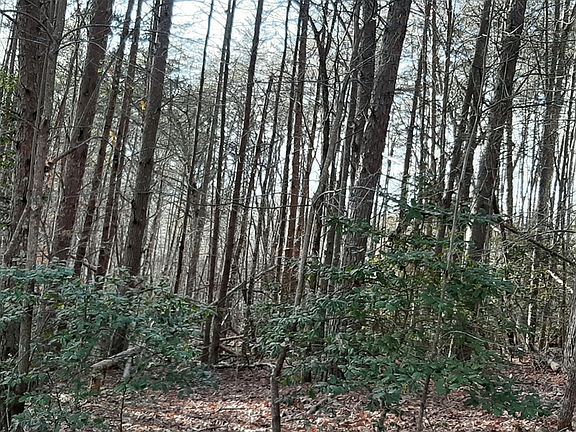 3rd image of 11 Cook Mountain Dr