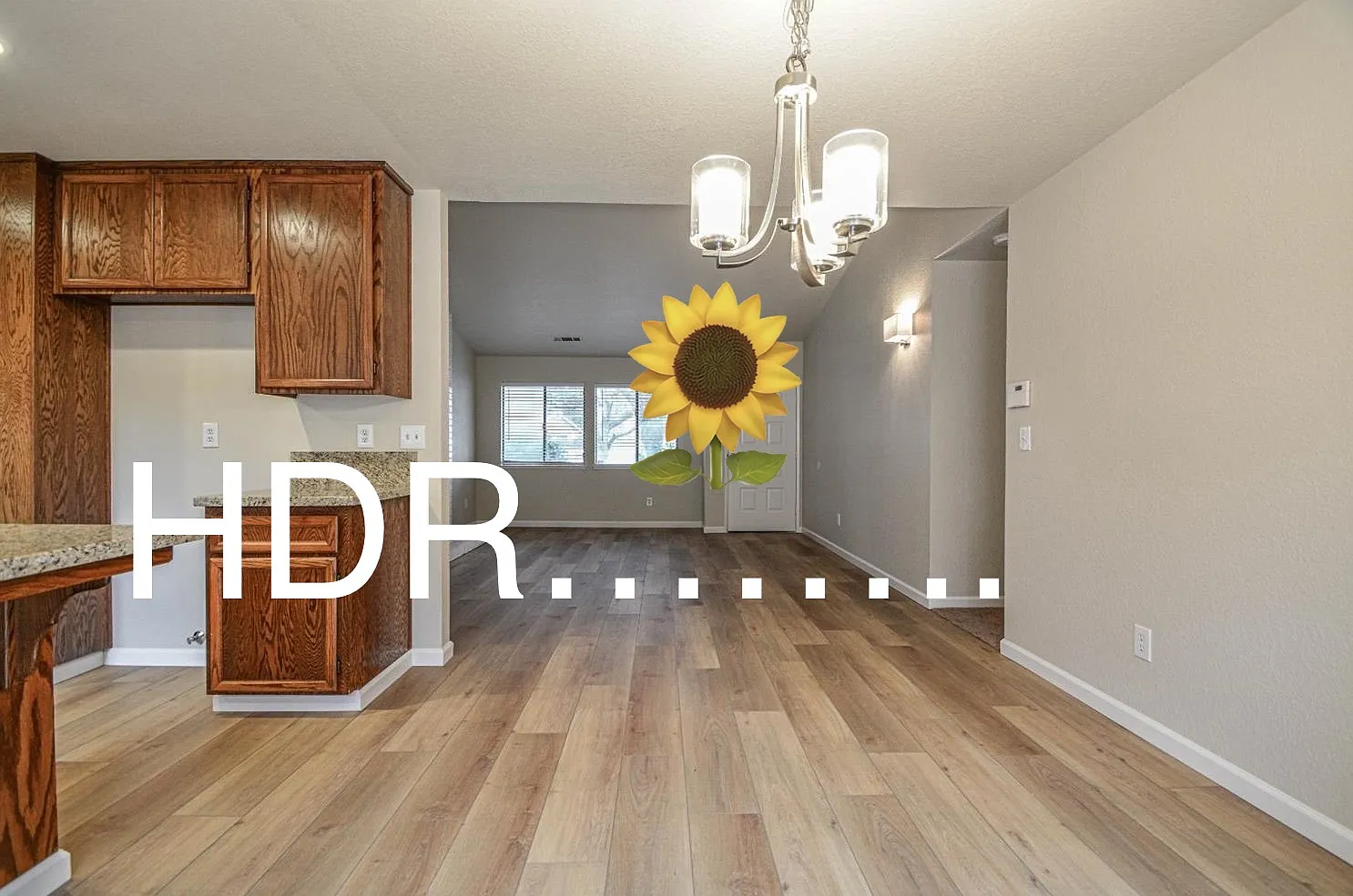 3001 Harbor Dr — Photo 3