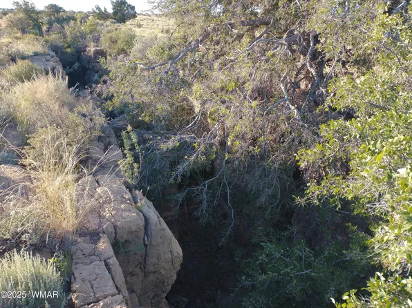 LOT 682 Chevelon Canyon Dr, Heber, AZ 85928