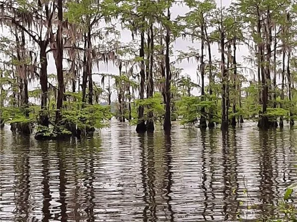 155 Thomas Rd, Campti, LA 71411