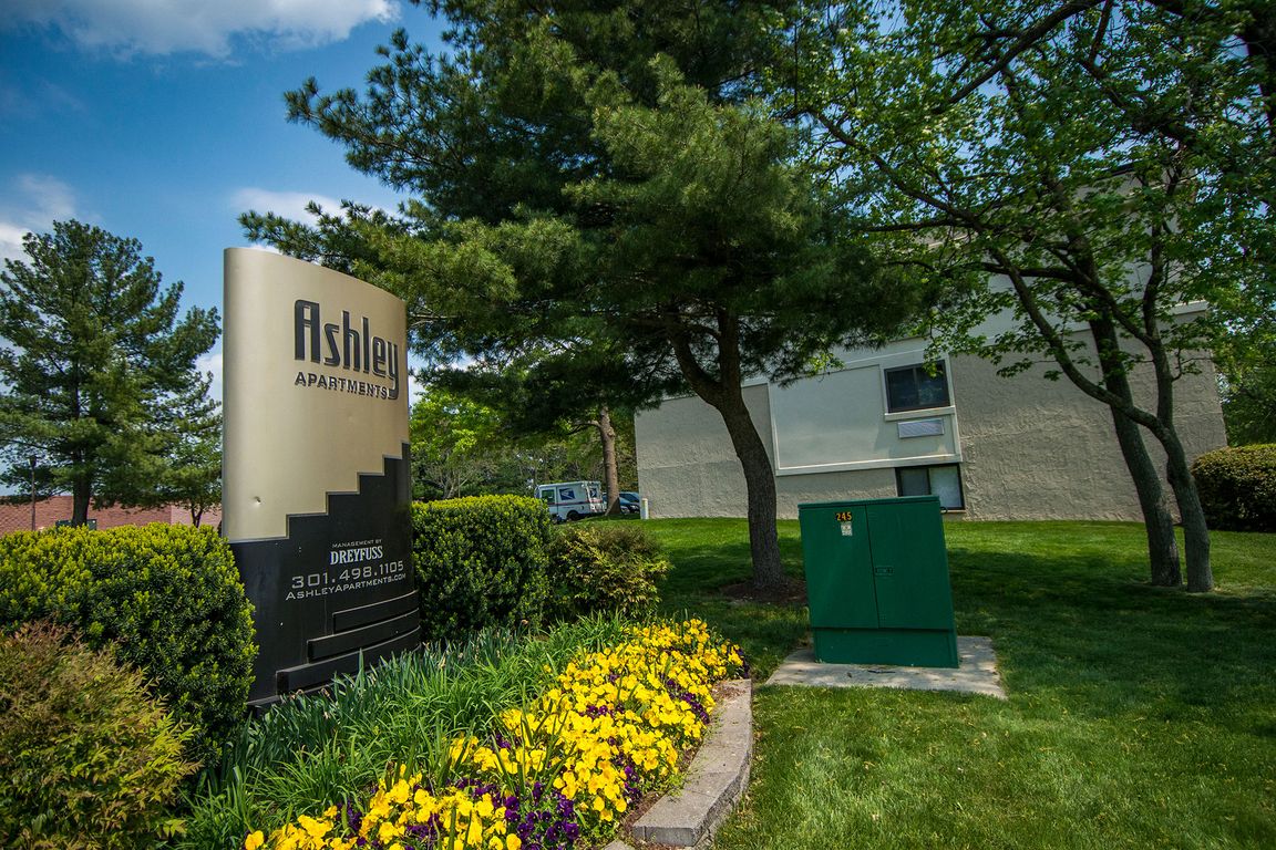 Main Signage Back Photo