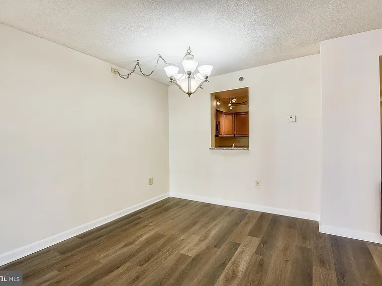 610 N West St #305 — Photo 5