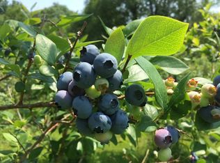 21 Prospect St, Jaffrey, NH 03452