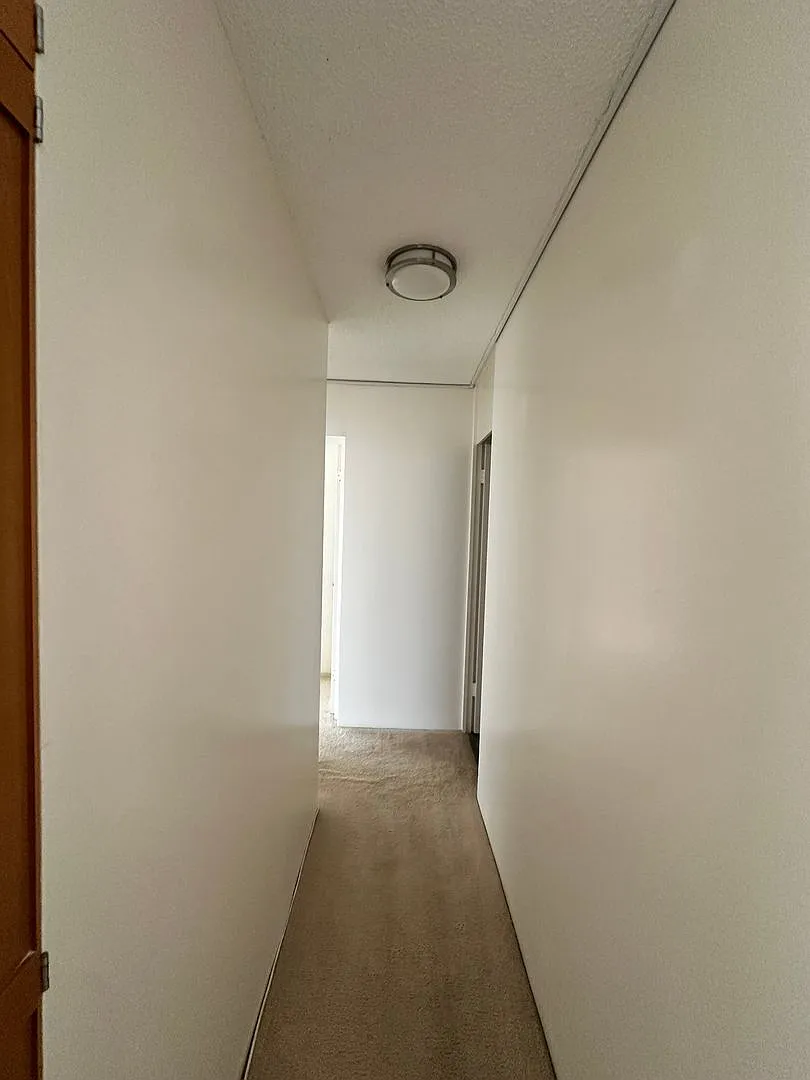 1050 Kinau St — Photo 3