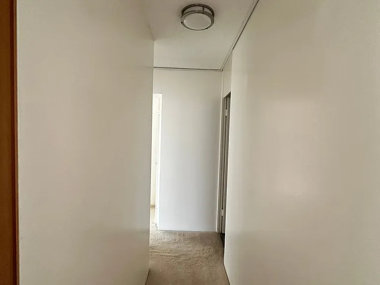 1050 Kinau St #401 — Photo 3
