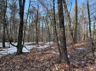 0 Webbs Mills Rd, Raymond, ME 04071